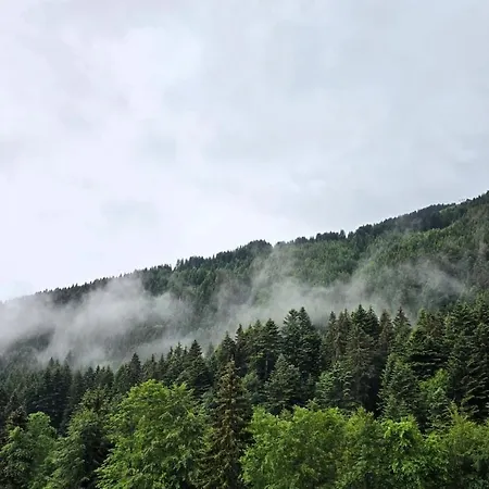 Alpesi faház Le Refuge Des Portes Du Soleil *
